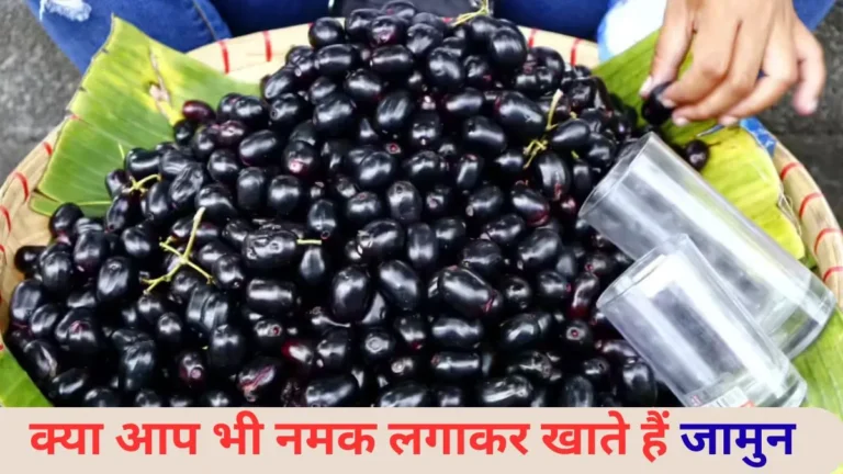 Best Time to Eat Jamun: Diabetes में रामबाण है जामुन, लेकिन एक दिन में कितने पीस खाना है सुरक्षित? नोट कर लें ये जरूरी गाइड