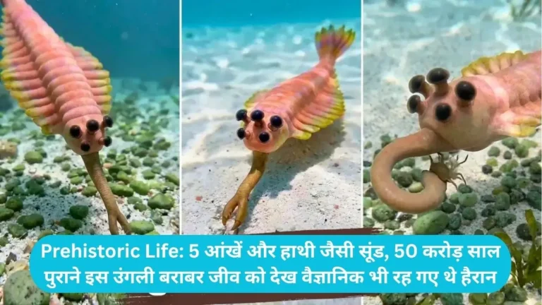 Prehistoric Life: 5 आंखें और हाथी जैसी सूंड, 50 करोड़ साल पुराने इस उंगली बराबर जीव को देख वैज्ञानिक भी रह गए थे हैरान