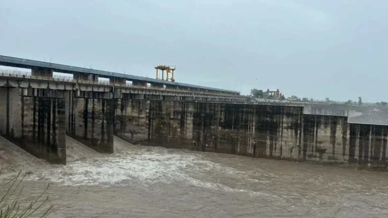 Hathnikund Barrage: शुक्रवार रात 47 हजार क्यूसेक पहुंचने के बाद शनिवार सुबह घटा पानी, हथिनीकुंड बैराज का ताजा अपडेट देखें