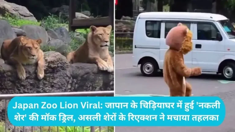 Japan Zoo Lion Viral: जापान के चिड़ियाघर में हुई ‘नकली शेर’ की मॉक ड्रिल, असली शेरों के रिएक्शन ने मचाया तहलका