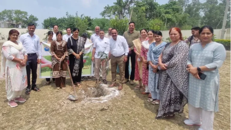 Kaithal Kaul College: ‘एक पौधा, एक उम्मीद’: कौल कॉलेज में 7 दिनों में रोपे गए 765 पौधे, NSS वॉलिंटियर्स ने लिया बड़ा संकल्प