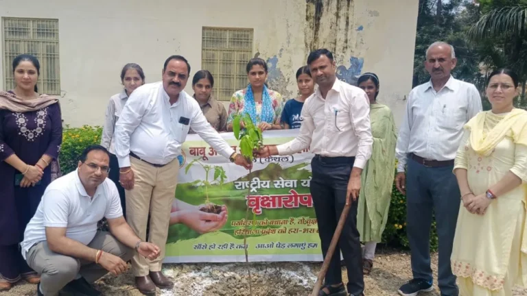 Dhand News: बाबू अनन्त राम जनता कॉलेज में ‘एक पेड़ माँ के नाम’ अभियान, रोपे गए औषधीय और फलदार पौधे
