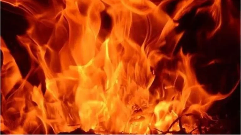 Rohtak News: रोहतक में सरपंच के घर आधी रात को भड़की भीषण आग, दम घुटा तो खुली आंख, ऐसे बची परिवार की जान