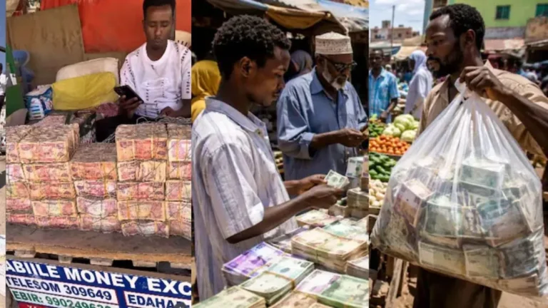 Somaliland Money Market: यहां बोरे में नोट भरकर सब्जी खरीदने जाते हैं लोग, सोमालीलैंड के ‘नोटों के बाजार’ की हैरान करने वाली कहानी