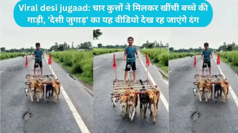 Viral desi jugaad: चार कुत्तों ने मिलकर खींची बच्चे की गाड़ी, ‘देसी जुगाड़’ का यह वीडियो देख रह जाएंगे दंग