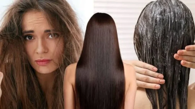 Hair Care Tips: घर पर बनाएं ‘DIY हेयर बोटॉक्स मास्क’, बिना महंगे पार्लर के रूखे और बेजान बालों में लाएं नेचुरल शाइन