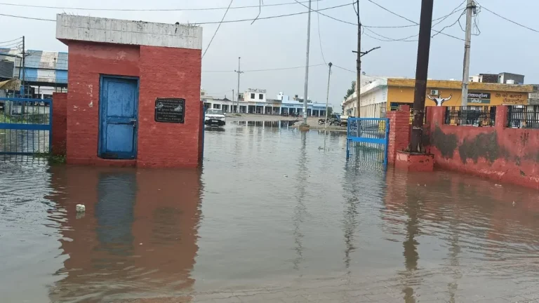 Dhand News: ढांड अनाज मंडी में खुली दावों की पोल, हल्की बारिश में ही जलमग्न हुई मंडी, गेट नंबर-5 बना तालाब