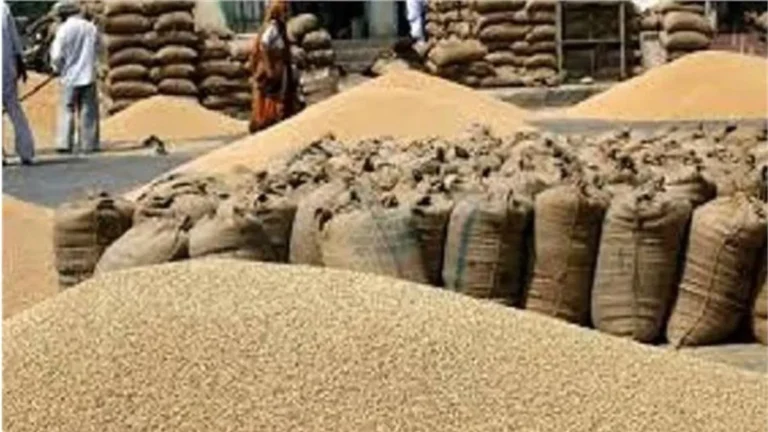 Haryana Mandi Scam: हरियाणा की अनाज मंडियों में किसानों से अवैध वसूली, पूर्व वैज्ञानिक ने राज्य सरकार को भेजा ‘कारण बताओ’ नोटिस