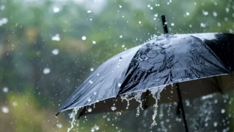 Haryana Weather Update: हरियाणा में फिर छाएंगे मानसूनी बादल, सोनीपत-करनाल में जलभराव, जानें आपके जिले में कब होगी बारिश