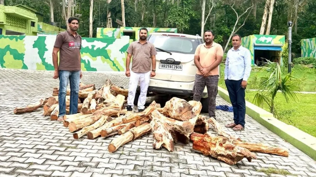 Yamunanagar News: कलेसर के जंगलों में वन विभाग की बड़ी कार्रवाई, 8 क्विंटल खैर की लकड़ी के साथ गाड़ी जब्त, तस्कर फरार