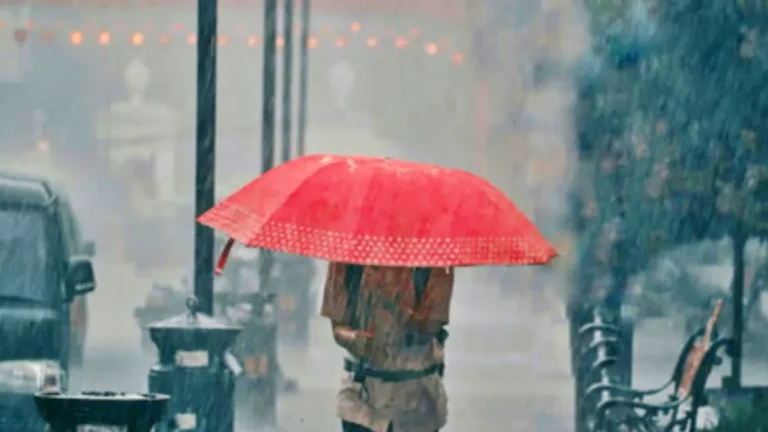 Haryana Weather: हरियाणा में भारी बारिश का दौर थमा, मौसम विभाग ने जारी किया ग्रीन जोन