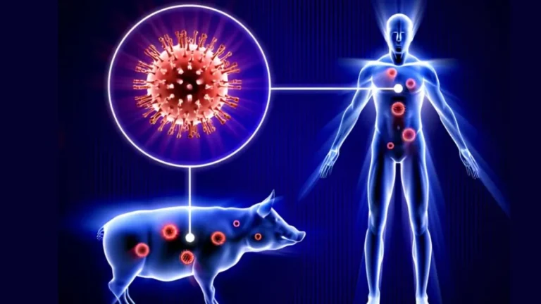 Bhiwani Swine Flu: भिवानी में स्वाइन फ्लू का कहर, 3 नए मरीज मिलने से हड़कंप, आंकड़ा 18 पहुंचा