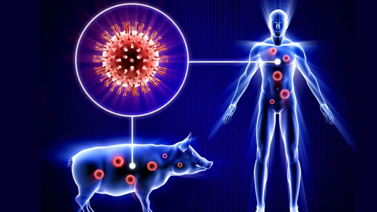 Bhiwani Swine Flu: भिवानी में स्वाइन फ्लू का कहर, 3 नए मरीज मिलने से हड़कंप, आंकड़ा 18 पहुंचा