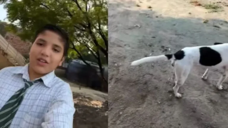 Dog Tail Straight Viral: ‘कुत्ते की पूंछ कभी सीधी नहीं होती?’ स्कूली बच्चे के इस वायरल वीडियो ने पुरानी कहावत को दी चुनौती!