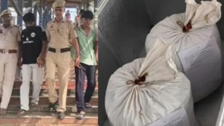 Faridabad News: फरीदाबाद में नशा तस्करों पर बड़ी कार्रवाई,  50 किलो गांजे के साथ पति-पत्नी समेत 3 गिरफ्तार