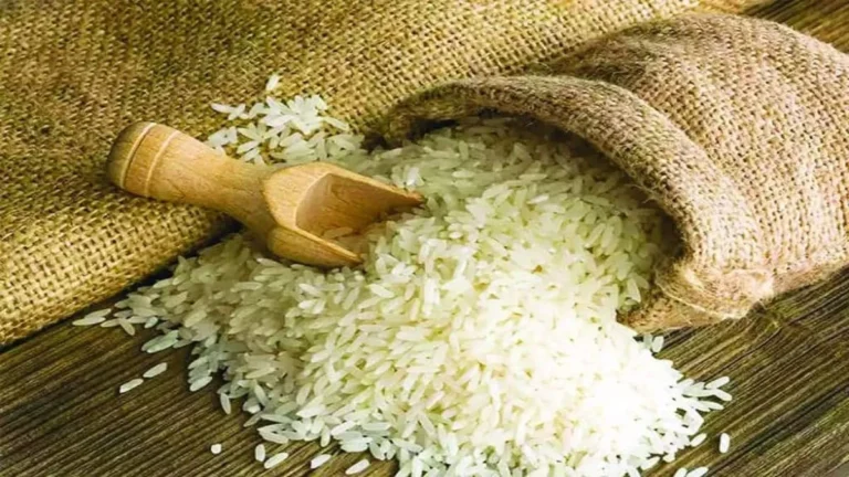 Haryana News: हरियाणा हाइब्रिड धान और अन्न दर्पण ऐप ने बढ़ाई परेशानी, राइस मिलर्स ने रखी 17% नमी और बोनस भुगतान की शर्त