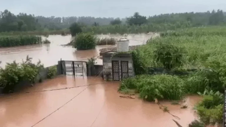 Haryana Rain Alert: हरियाणा में एक्टिव हुआ मानसून, मोरनी हिल्स में लैंडस्लाइड से टिक्कर ताल मार्ग बंद, फंसे कई टूरिस्ट