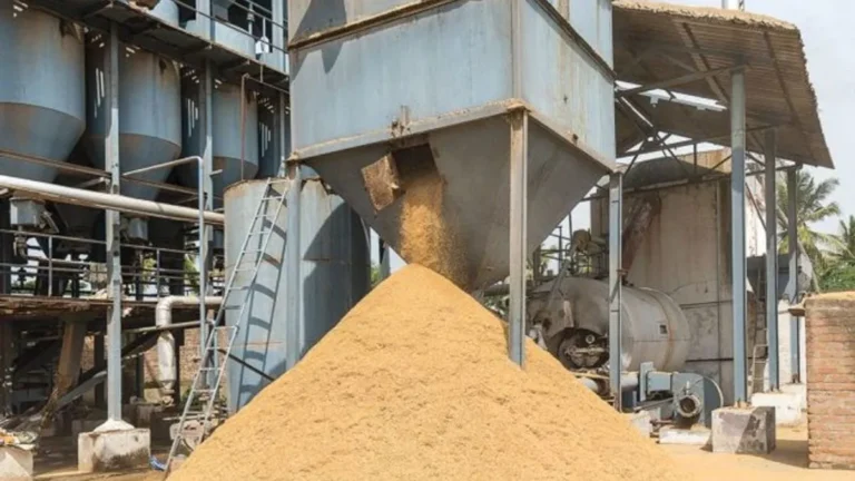 Haryana Rice Millers: हरियाणा में 5 लाख मीट्रिक टन चावल डिलीवरी का रास्ता साफ, समय पर काम पूरा करने वाले मिलर्स को मिलेगा बोनस
