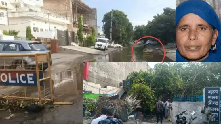 Haryana Weather Alert: फतेहाबाद में मकान पर गिरी बिजली, महिला की मौत, जींद में उखड़े पेड़ और बैरिकेड्स