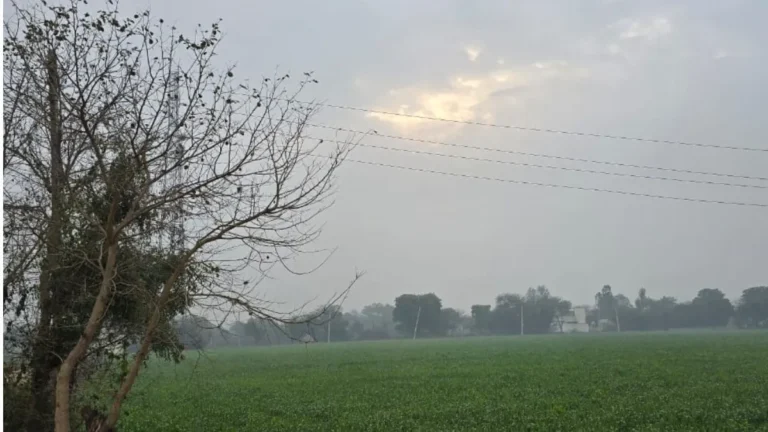 Haryana Weather: हरियाणा में मानसून की विदाई से बदला मौसम, दिन में धूप का सितम और रातों में ठंडक