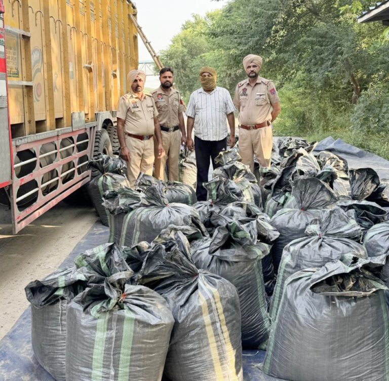 Khanouri News : खनौरी में 1300 किलो भुक्की के साथ ट्रक ड्राइवर गिरफ्तार