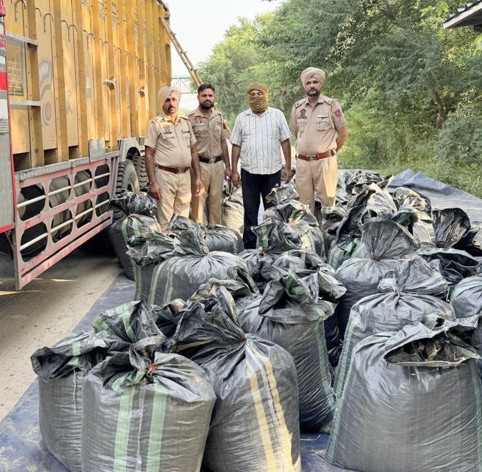 Khanouri News : खनौरी में 1300 किलो भुक्की के साथ ट्रक ड्राइवर गिरफ्तार