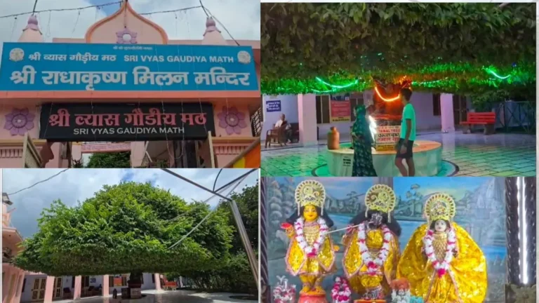 Kurukshetra News: जन्माष्टमी पर कुरुक्षेत्र का अलौकिक तमाल वृक्ष बना केंद्र, जानिए राधा-कृष्ण के दिव्य पुनर्मिलन की पौराणिक गाथा