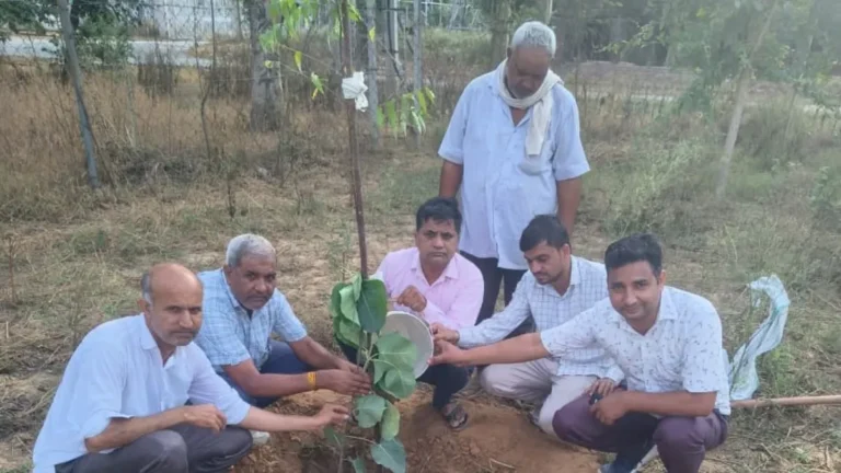 Nangal Chaudhary : पौधारोपण करके जीवन और स्वास्थ्य की सुरक्षा में योगदान दें युवा – कमल किशोर