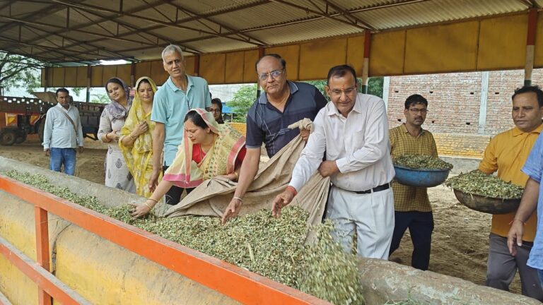 Narnaul: प्रधानमंत्री नरेंद्र मोदी के जन्मदिवस पर गौशाला में किया गौ-पूजन, गौमाता को खिलाई सवामणी