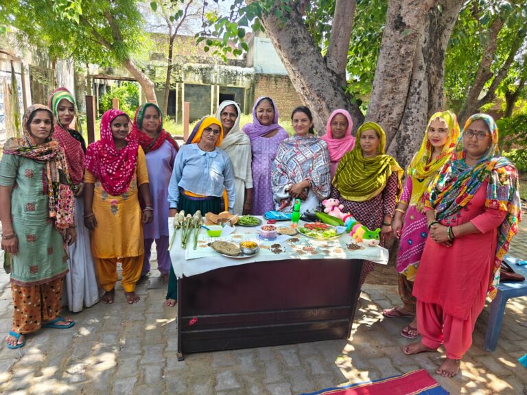 Narnaul: भाॅखरी में ‘स्वस्थ थाली’ व ‘रंगीन थाली’ बनाकर पौष्टिक आहार की जानकारी दी