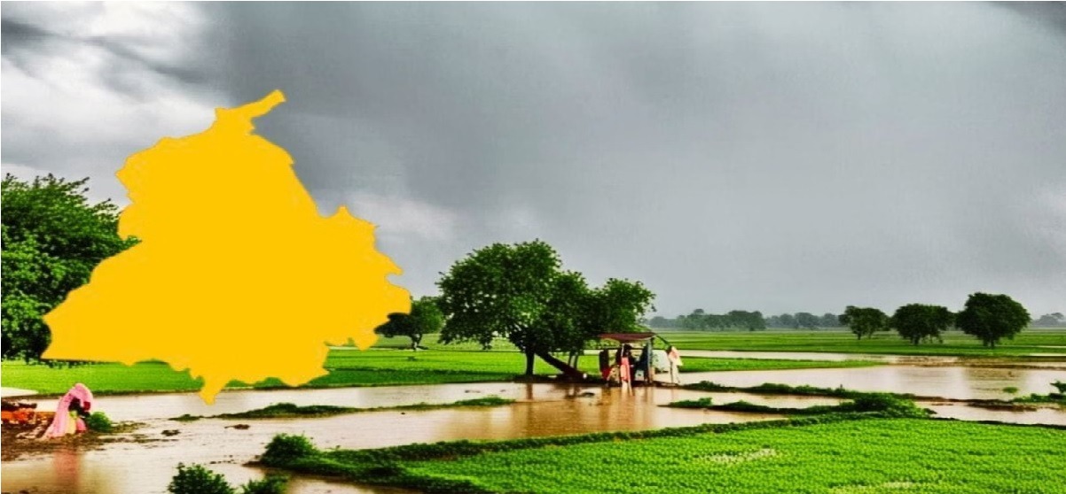 Punjab Weather Update : पंजाब में मानसून फिर एक्टिव, आज से 17 सितंबर तक भारी बारिश का अलर्ट