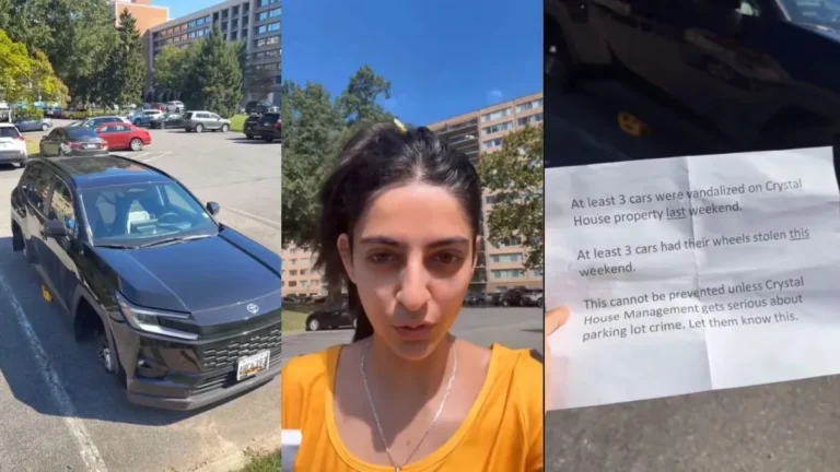 US Crime Viral: ‘लगता था अमेरिका में क्राइम नहीं होता!’ NRI महिला की कार से टायर गायब, सोशल मीडिया पर छिड़ी बहस