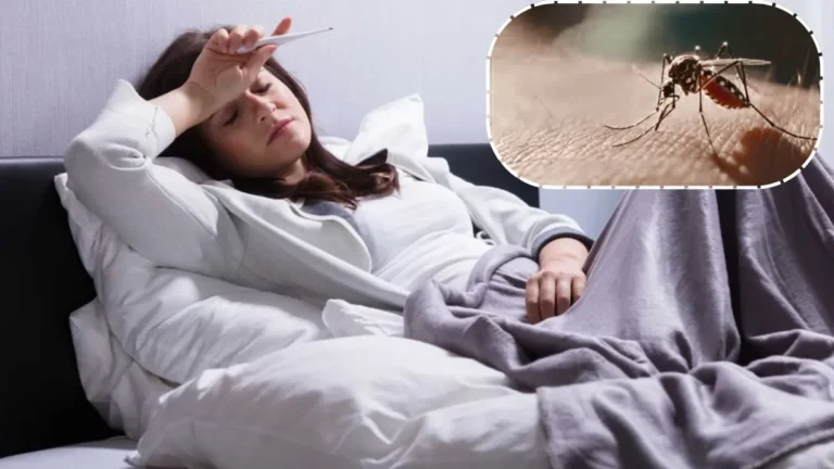 Dengue Symptoms: डेंगू में प्लेटलेट काउंट 40 हजार आने पर भी क्यों नहीं घबराना चाहिए? जानें डॉक्टरों की असली राय