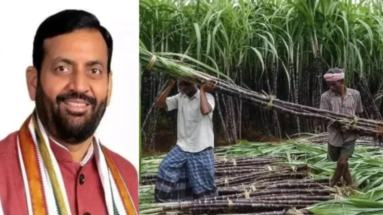 Haryana Farmer News: हरियाणा के गन्ना किसानों की बल्ले-बल्ले, सीएम नायब सैनी ने बढ़ाए गन्ने का भाव