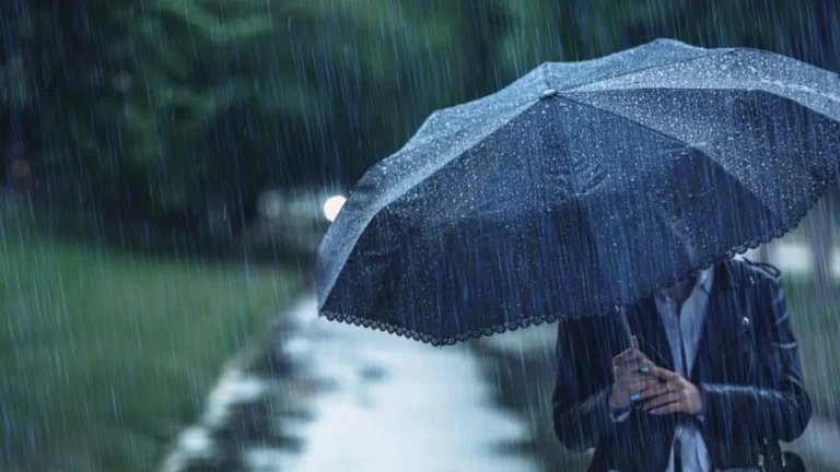 Haryana Weather: हरियाणा में  9 से 14 अक्टूबर के बीच बारिश के आसार, जानें आपके जिले का हाल