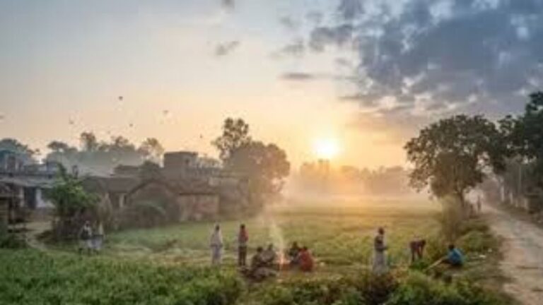 Haryana Weather: हरियाणा में बदलने लगा मौसम का मिजाज, दिन में तेज धूप और रात में बढ़ी ठंडक, जानिए अगले 7 दिन कैसा रहेगा हाल