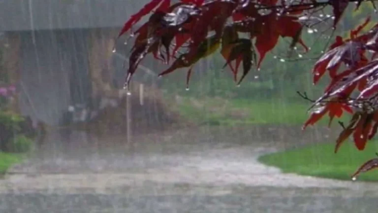 Haryana Weather Update: हरियाणा में अक्टूबर में भी गर्मी का प्रकोप, 3 दिन सूखा रहने के बाद इस दिन हो सकती है बारिश