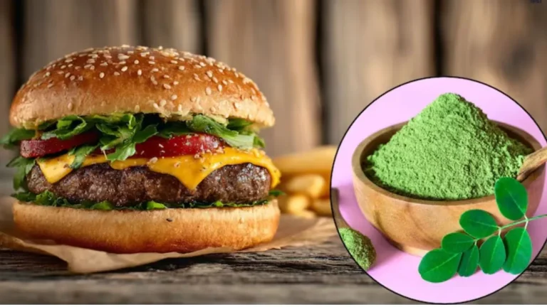 Healthy burger for kids: बच्चों की सेहत के लिए बेस्ट है ‘मोरिंगा बर्गर’, जानें घर पर बनाने की आसान रेसिपी