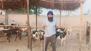परविंदर झोटा की हत्या पर बवाल, मानसा SHO सस्पेंड; आरोपी केमिस्ट की पत्नी हिरासत में, DSP पर जांच की सिफारिश