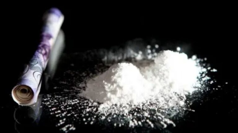 Jind Drug Bust: जींद पुलिस की बड़ी कार्रवाई, 23 किलो से ज्यादा चूरा पोस्त के साथ प्रगट और नरविंद्र गिरफ्तार