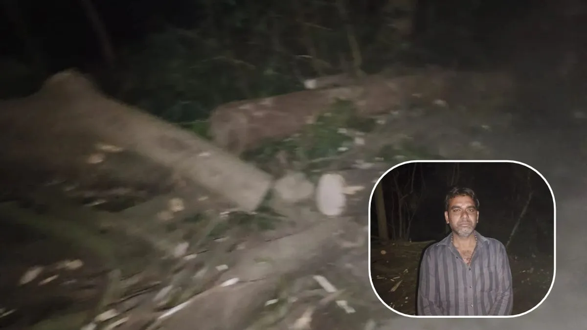 Kalesar Tree Cutting Controversy: कलेसर में 50 साल पुराने आम के 5 फलदार पेड़ काटने पर बवाल, खेत मालिक ने सरपंच प्रतिनिधि पर लगाया आरोप, जांच में जुटी पुलिस