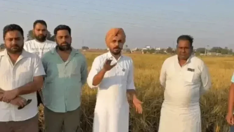 Kurukshetra Dhan Scam: कुरुक्षेत्र में 32 लाख का धान घोटाला, खेतों में खड़ी रही असली फसल, भाकियू ने आढ़ती-मिलर गठजोड़ की पोल खोली