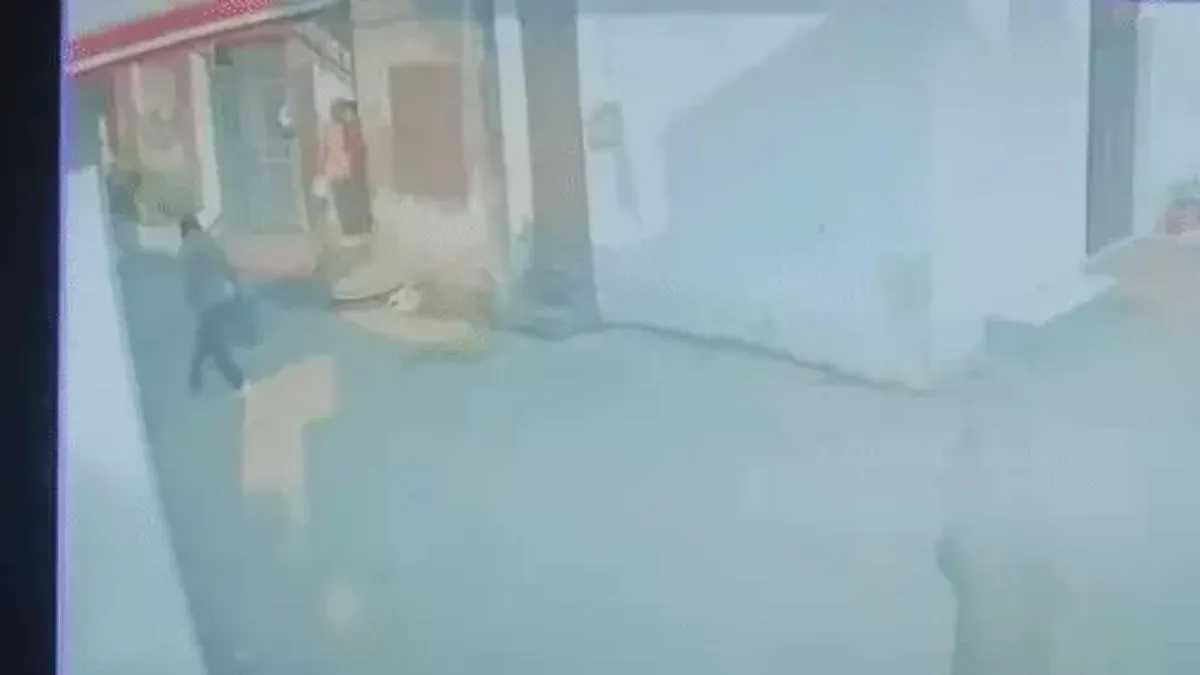 Ludhiana News: लुधियाना में खौफनाक वारदात, घर में घुसकर काटा युवक का हाथ, थैली में भरकर दुकानदार को सौंपा