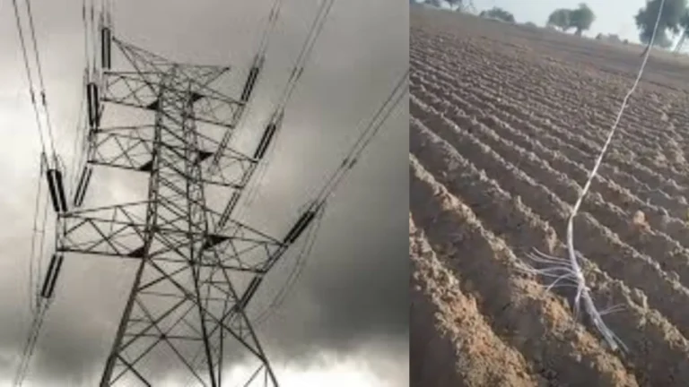 Mahendragarh News: बवानियां और झिंगावन गांव के पास टूटी पावरग्रिड लाइन की तार, बड़ा हादसा टला