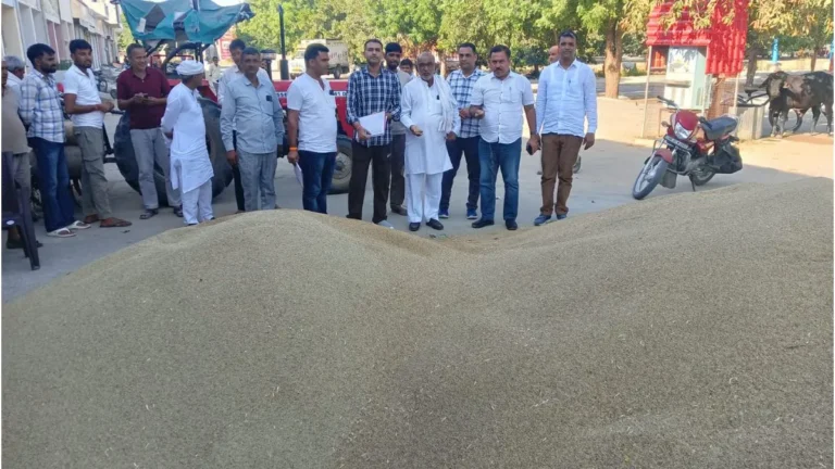 Nangal Chaudhary : नांगल चौधरी अनाज मंडी में बाजरे की सरकारी खरीद में लचर व्यवस्था, छह दिन बाद भी नहीं हुई खरीद, किसानों में रोष