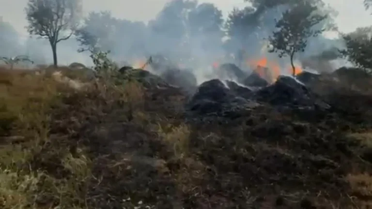 Nangal Chaudhary Fire News: कमानिया में 50 एकड़ की एकत्र कड़बी में अज्ञात कारणों से लगी आग, पीड़ित किसानों ने मुआवजे की लगाई गुहार