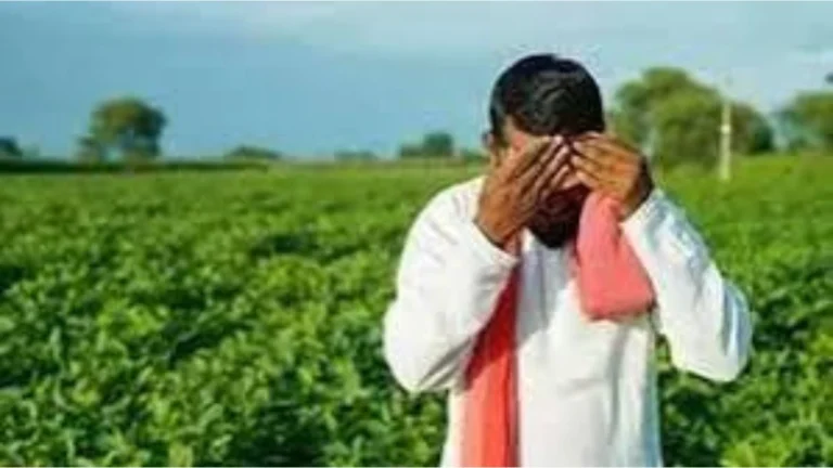 Narnaul Crime News: निजामपुर क्षेत्र में चोरों का आतंक, धौलेड़ा गांव में किसान के सोलर ट्यूबवेल से कंट्रोलर और केबल चोरी
