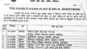Narnaul Mandi News: मार्केट कमेटी नारनौल ने जारी किया बाजरा खरीद का रिवाइज्ड शेड्यूल, 19 से 24 अक्टूबर तक गांववार होगी फसल की खरीद