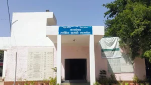Narnaul Mandi Update: नारनौल नई अनाज मंडी में बाजरे की खरीद के लिए संशोधित शेड्यूल जारी