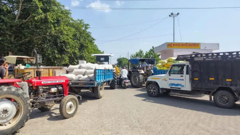 Narnaul News: नारनौल की नई अनाज मंडी के बाहर पिकअप से बाजरे के कट्टे चुराते दो शातिर दबोचे, सतर्क ड्राइवर ने खोली पोल